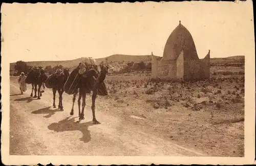Ak Au pas lent des caravanes, Kamele