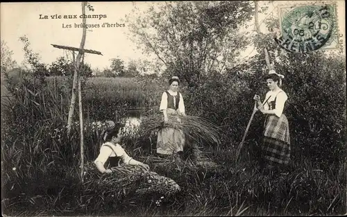 Ak La vie aux champs, les bruleuses d'herbes