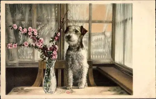 Ak Terrier auf dem Tisch, Blume in der Blumenvase, Fenster