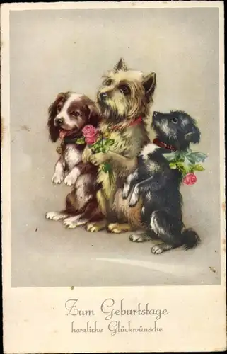 Ak Glückwunsch Geburtstag, Drei Hunde mit Blumen machen Männchen