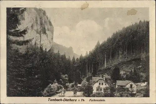 Ak Tambach Dietharz im Thüringer Wald, Partie am Falkenstein, Häuser, Wald