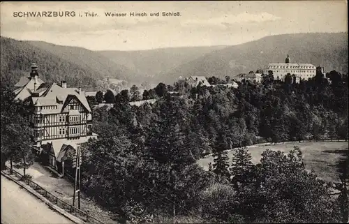 Ak Schwarzburg in Thüringen, Weisser Hirsch und Schloss