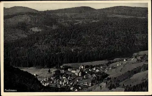 Ak Todtmoos im Schwarzwald, Panorama