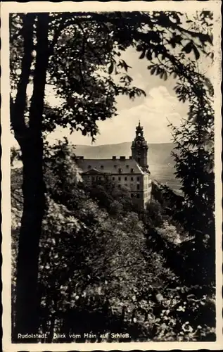Ak Rudolstadt in Thüringen, Blick vom Hain auf das Schloss