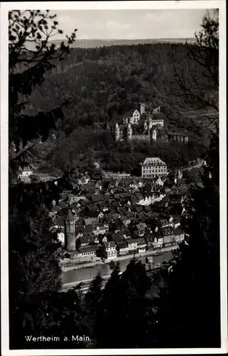 Ak Wertheim am Main, Panorama