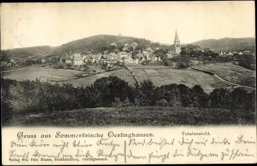 Ak Oerlinghausen in Lippe, Totalansicht
