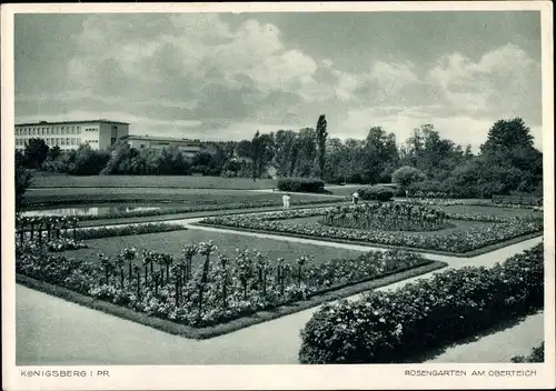 Ak Kaliningrad Königsberg Ostpreußen, Rosengarten, Oberteich