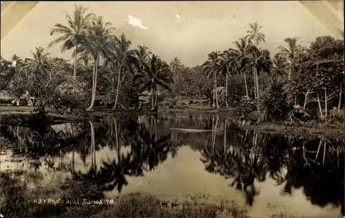 Foto Ak Samoa, Landschaft mit Palmen