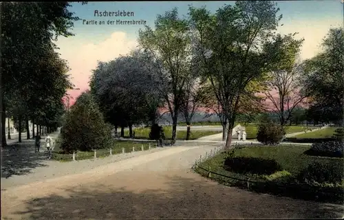 Ak Aschersleben im Salzlandkreis, Partie an der Herrenbreite