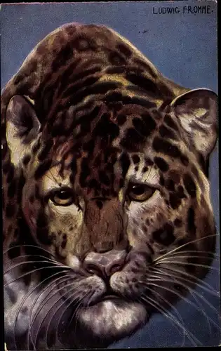 Künstler Ak Fromme, Ludwig, Leopard, Tierportrait