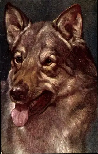 Künstler Ak Fromme, Ludwig, Schäferhund, Hundeportrait