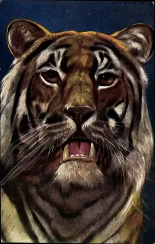 Künstler Ak Fromme, Ludwig, Tiger, Tierportrait