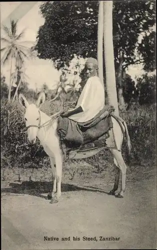 Ak Zanzibar Sansibar Tansania, Native and his Steed, Reiter