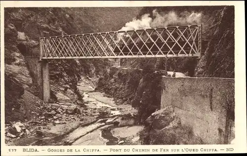 Ak Blida Algerien, Gorges de la Chiffa, Pont du Chemin de Fer sur l'Oued Chiffa, Brücke