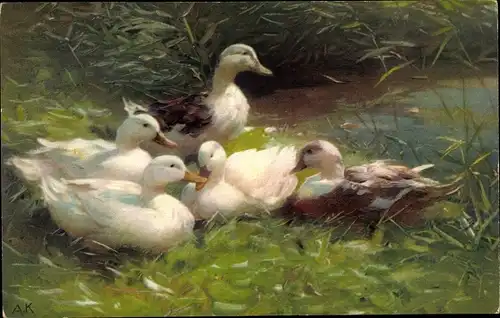 Künstler Ak Köster, Alexander, Enten am Ufer