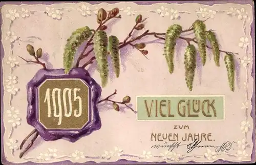 Präge Ak Glückwunsch Neujahr, Jahreszahl 1905, Haselzweig