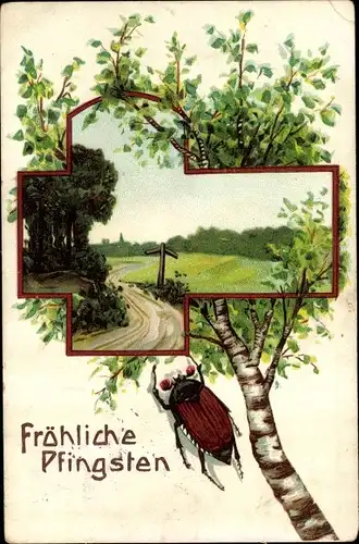 Ak Glückwunsch Pfingsten, Landschaft, Birke, Maikäfer