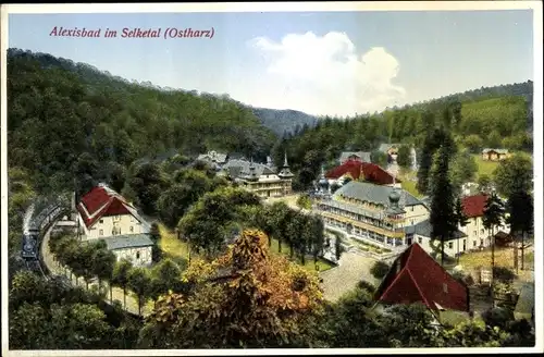 Ak Alexisbad Harzgerode am Harz, Ortsansicht, Panorama