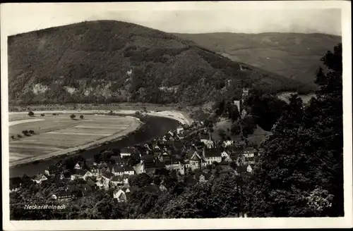 Ak Neckarsteinach in Hessen, Ortsansicht, Panorama