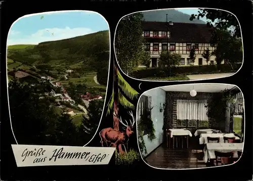 Ak Hammer Simmerath in der Eifel, Hotel Restaurant Haus Waldblick, Ortsansicht, Außenansicht