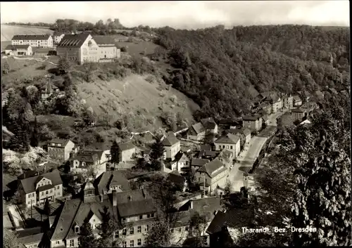 Ak Tharandt im Erzgebirge, Ortsansicht, Panorama