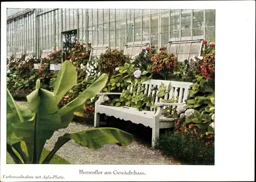 Ak Limburgerhof Rheinland Pfalz, IG Farben AG, landwirtsch. Versuchsstation, Gewächshaus