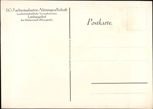 Ak Limburgerhof Rheinland Pfalz, IG Farben AG, landwirtsch. Versuchsstation, Gewächshaus