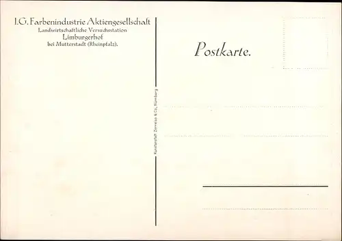 Ak Limburgerhof Rheinland Pfalz, IG Farben AG, landwirtsch. Versuchsstation, Gewächshaus