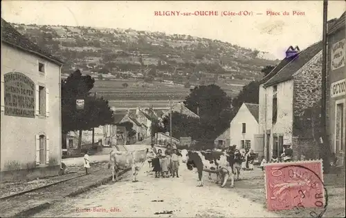 Ak Bligny sur Ouche Côte-d’Or, Place du Pont, Kühe