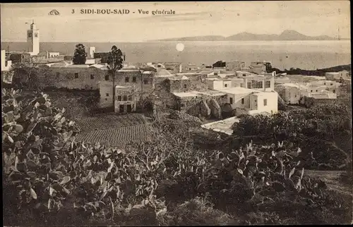 Ak Sidi Bou Said Tunesien, Blick über den Ort, Kakteen, Minarett