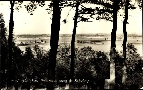 Ak Bergen Nordholland Niederlande, Panorama aus dem Wald gesehen