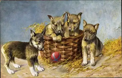 Künstler Ak Vier Hundewelpen, Hundeportrait, Weidenkorb, Spielball