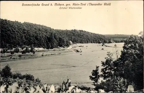 Ak Wüstarabien Grund Mohorn Wilsdruff Sachsen, Sommerfrische Grund, Panorama