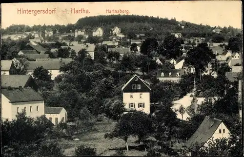 Ak Hartha Hintergersdorf Tharandt Sachsen, Teilansicht, Harthaberg