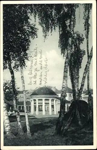 Ak Františkovy Lázně Franzensbad Region Karlsbad, Birkengruppe mit Franzensquelle