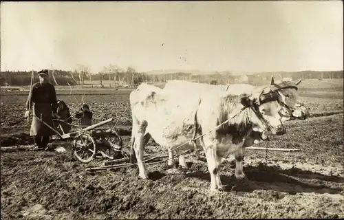 Foto Ak Ackerarbeit, Pflug, Bauer, Landwirtschaft
