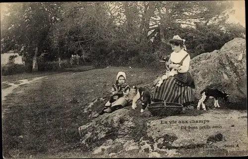 Ak La vie aux champs, de bons petits amis