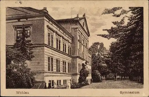 Ak Wołów Wohlau Schlesien, Gymnasium