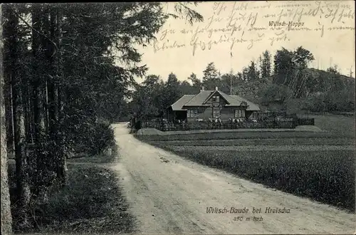 Ak Kreischa im Erzgebirge, Wilischbaude, Wilisch-Koppe