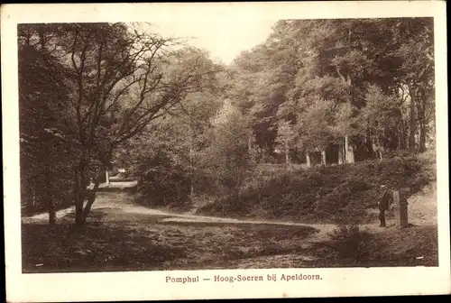 Ak Hoog Soeren Gelderland Niederlande, Pomphul