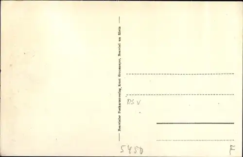Ak Neuwied am Rhein, Rheinufer, Straßenansicht