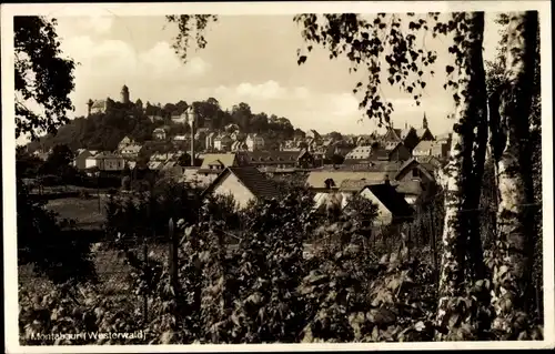 Ak Montabaur im Westerwald, Durchblick zum Ort