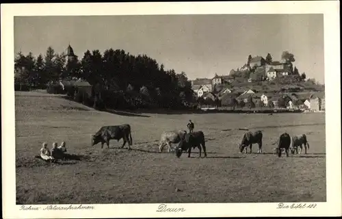 Ak Daun in der Eifel, Naturaufnahmen, Kühe, Kinder, Kirchturm, Panorama