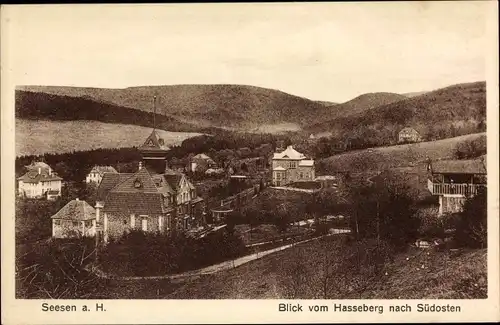 Ak Seesen am Harz, Blick vom Hasseberg nach Südosten