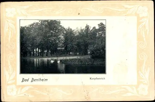 Ak Bad Bentheim in Niedersachsen, Karpfenteich, Schwäne