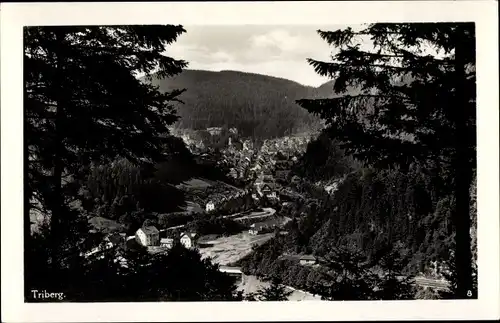 Ak Triberg Schwarzwald, Gesamtansicht des Ortes, Berge