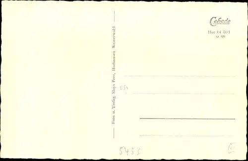 Ak Horhausen im Westerwald, Panorama