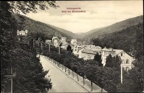 Ak Schlangenbad im Taunus Hessen, Blick ins Wambachtal