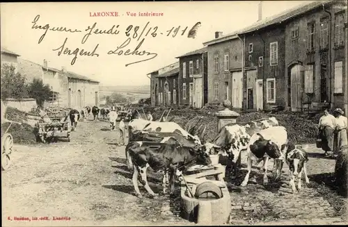 Ak Laronxe Meurthe et Moselle, vue interieure, Kühe an der Tränke