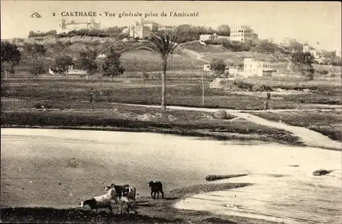 Ak Carthage Karthago Tunesien, Vue generale prise de l'Amiraute